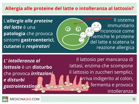 allergia proteine del lv esordio|Diagnosi di allergia al latte vaccino: una guida dettagliata.